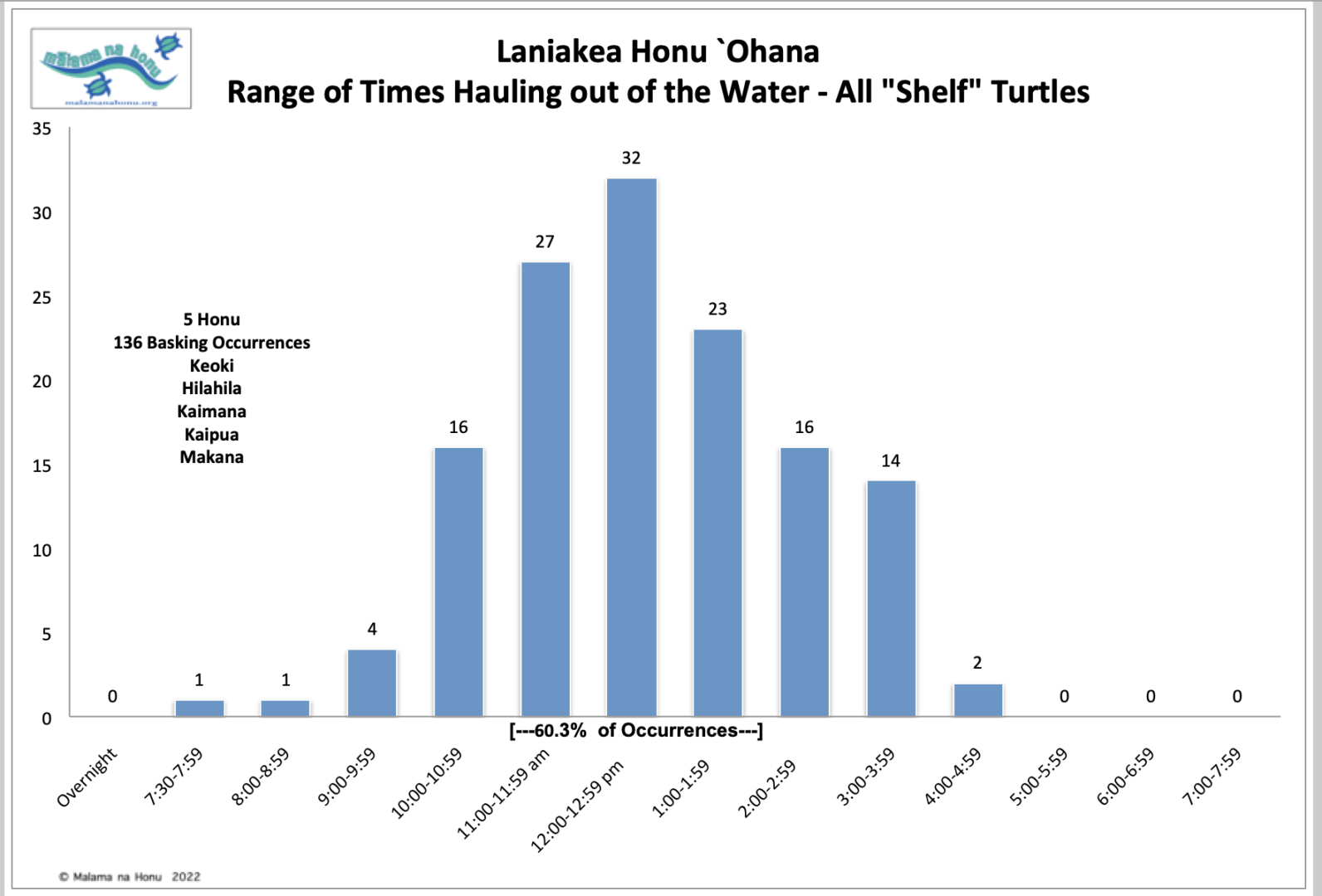 Laniakea Honu Ohana Range of Times Hauling out of the Water – All Shelf Turtles