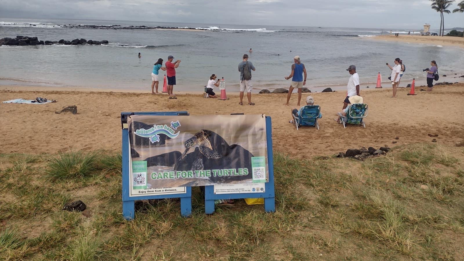 People at beach with care for turtles sign board